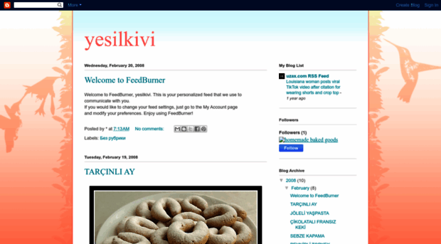 yesilkivi.blogspot.com