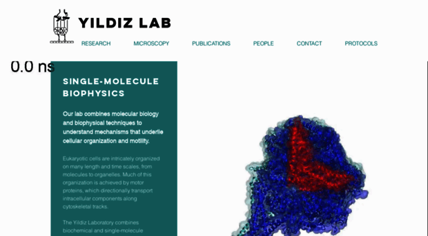 yildizlab.org