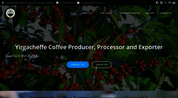 yirgacheffeunion.com