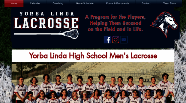 ylhslax.com