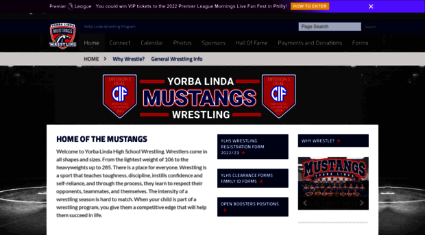 ylhswrestling.com