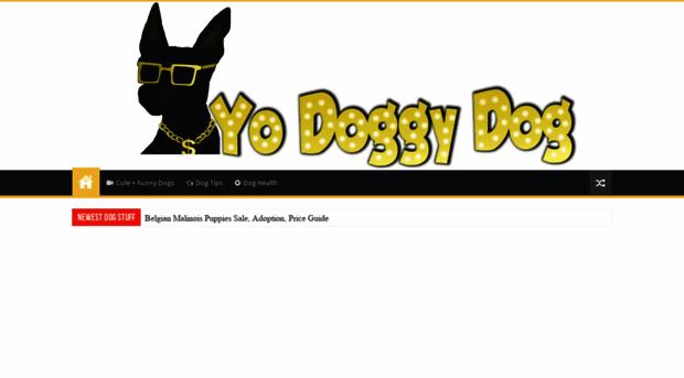 yodoggydog.com