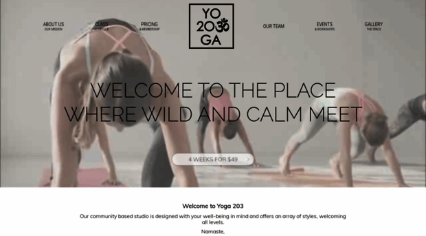 yoga203.com