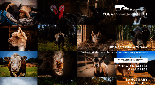 yogaanimalia.com