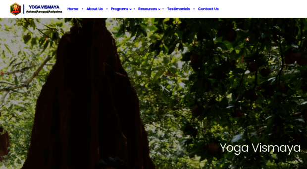 yogavismaya.org