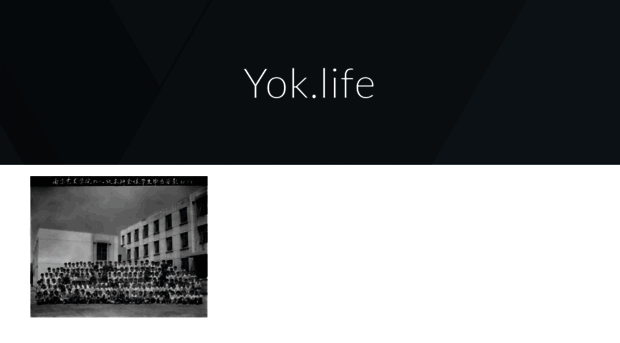 yok.life