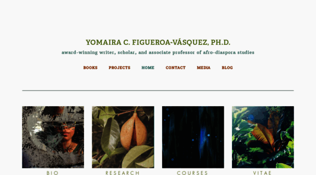 yomairafigueroa.com