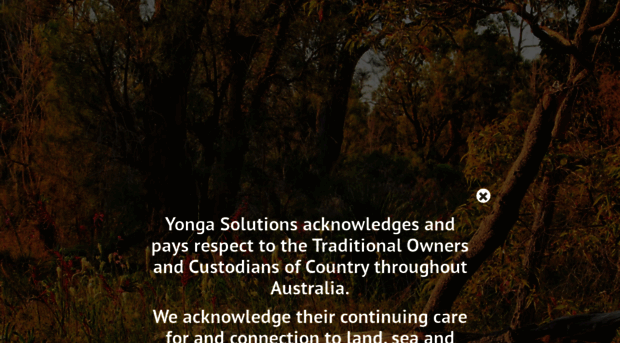 yongasolutions.com.au