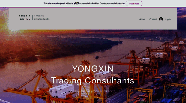 yongxinpromo.com