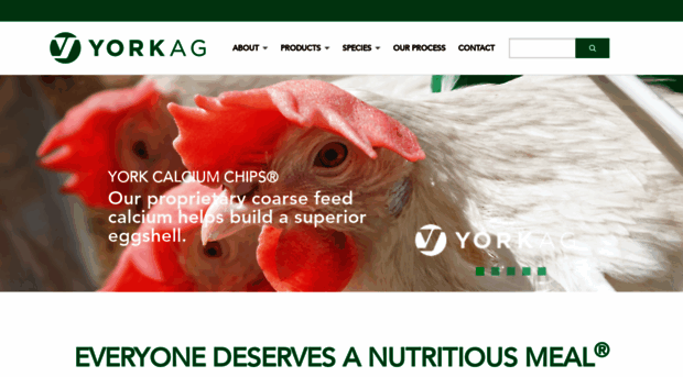 yorkag.com