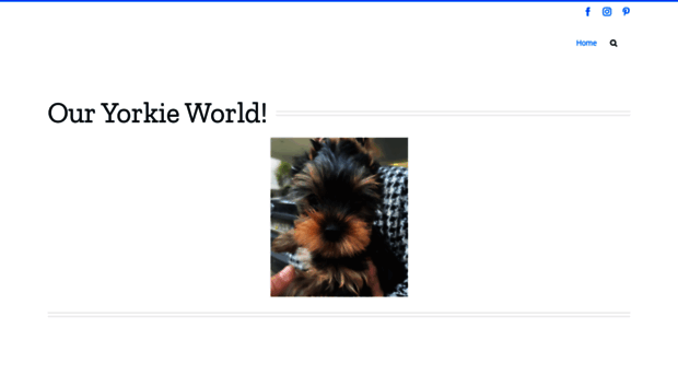 yorkie.gr