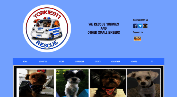 yorkie911rescue.com