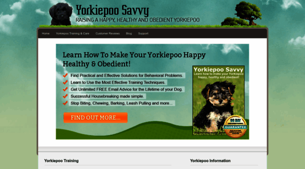 yorkiepoosavvy.com