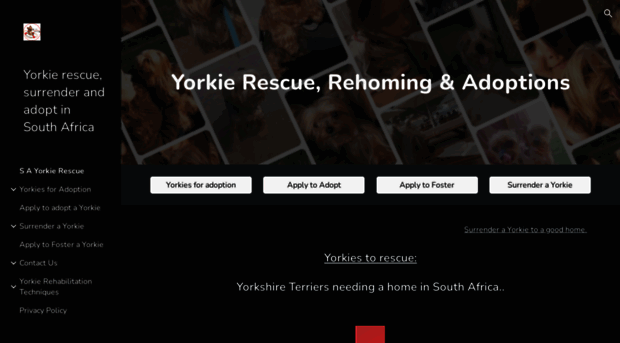 yorkierescue.co.za