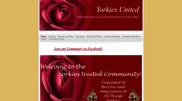 yorkiesunited.com