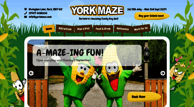 yorkmaze.com