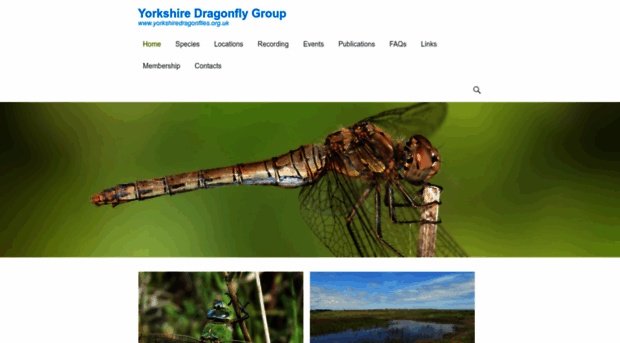 yorkshiredragonflies.org.uk