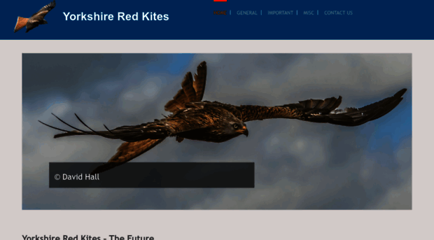 yorkshireredkites.net