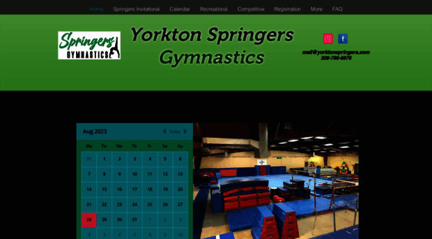 yorktonspringers.ca