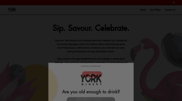 yorkwinery.com