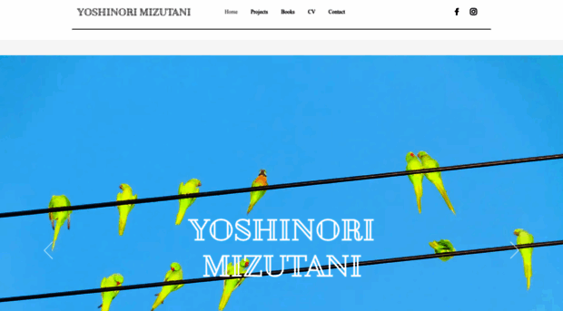 yoshinori-mizutani.com