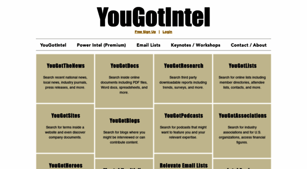 yougotintel.com