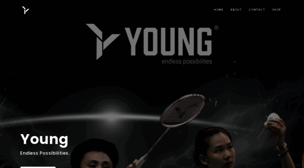 young-international.com