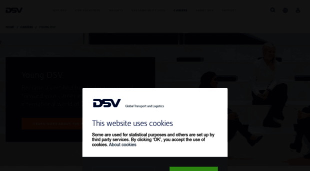 young.dsv.com