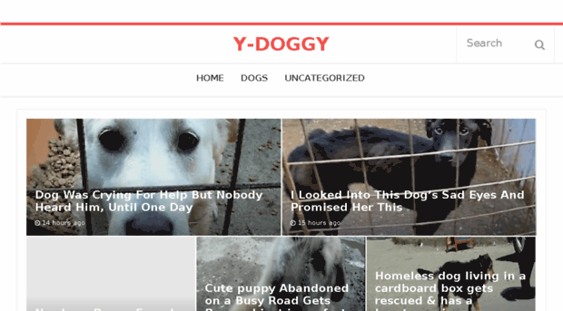 youngdoggy.com