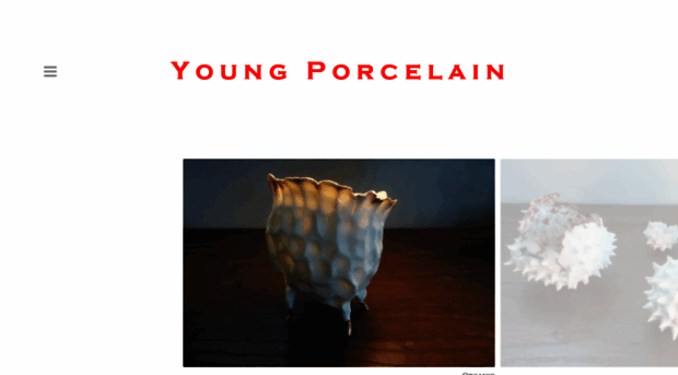 youngporcelain.com