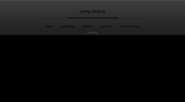 youngprojectsgallery.com