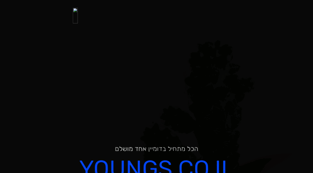 youngs.co.il