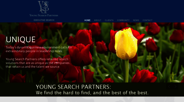 youngsearchpartners.com