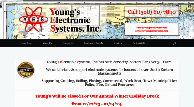 youngselectronics.com