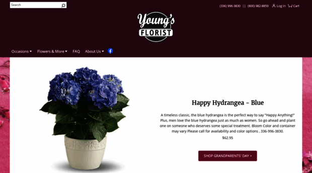 youngsflorist.net