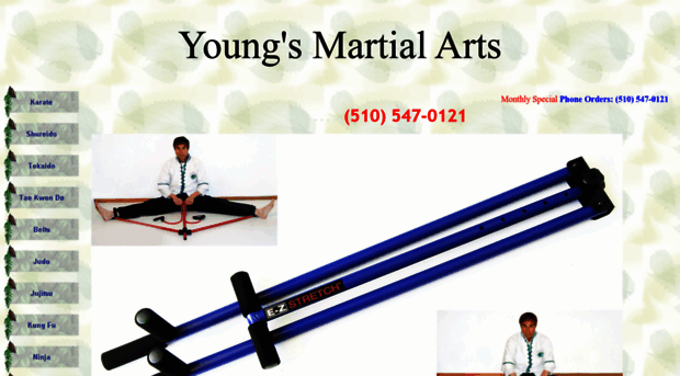 youngsmartialarts.net