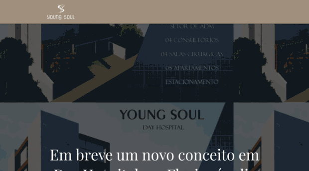 youngsoul.com.br