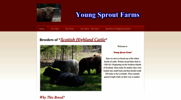 youngsproutfarms.weebly.com