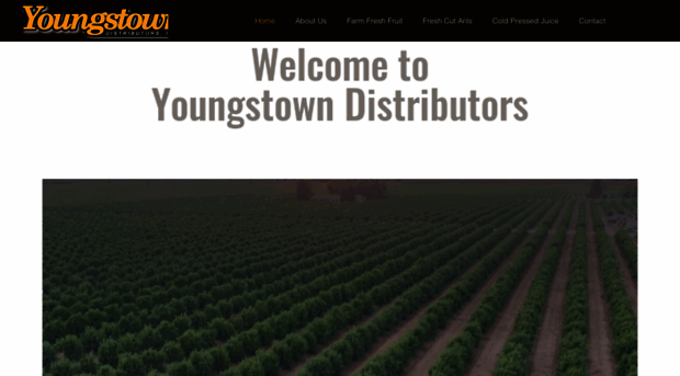 youngstownd.com