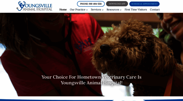 youngsvilleanimalhospital.com