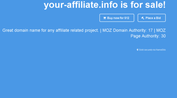 your-affiliate.info