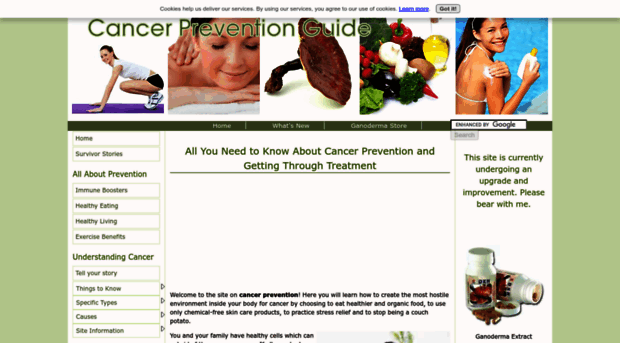 your-cancer-prevention-guide.com