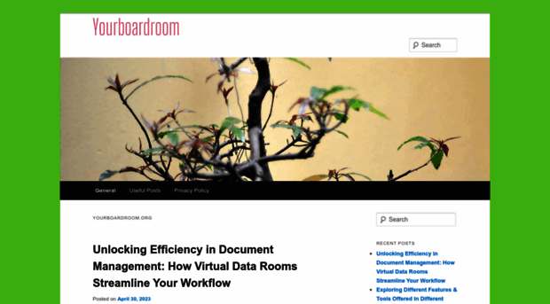 yourboardroom.org