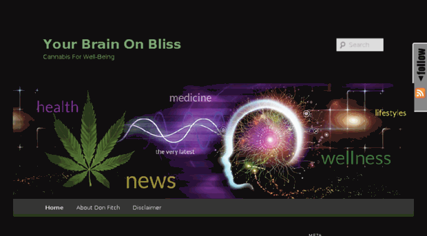 yourbrainonbliss.com