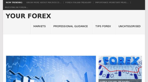 yourforex.net