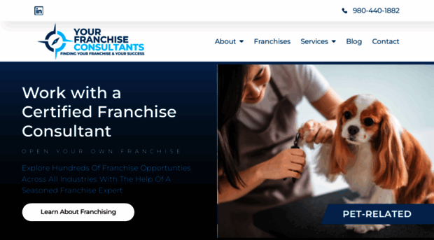 yourfranchiseconsultants.com