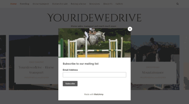 youridewedrive.com