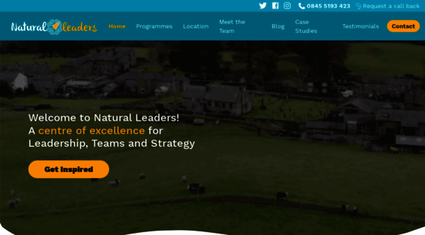 yournaturalleaders.com