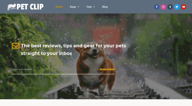 yourpetclip.com