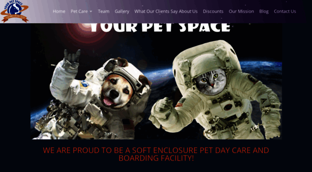 yourpetspace.com